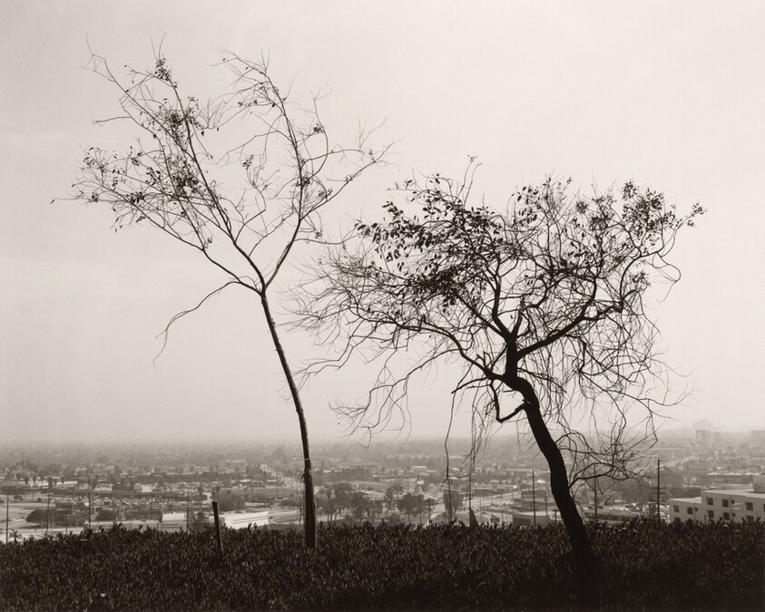 On Signal Hill, overlooking Long Beach, California