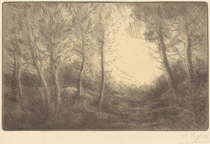 Sunrise, Woods of Clamard (Lever du soleil, bois de Clamard)