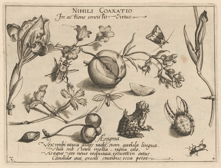 Archetypa studiaque patris Georgii Hoefnagelii [Part 4, Plate 3]