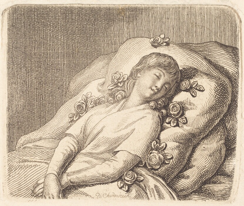 The image shows an individual lying in a reclining position with their head resting on a pillow. The person's head is slightly tilted to the side and their eyes are closed. They have medium-length, wavy hair. They are wearing a loose-fitting robe-like garment with roses around and on the pillow and clothing. The background has a textured surface.