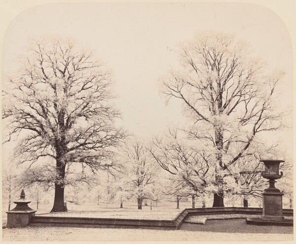Hoarfrost, a Park Scene