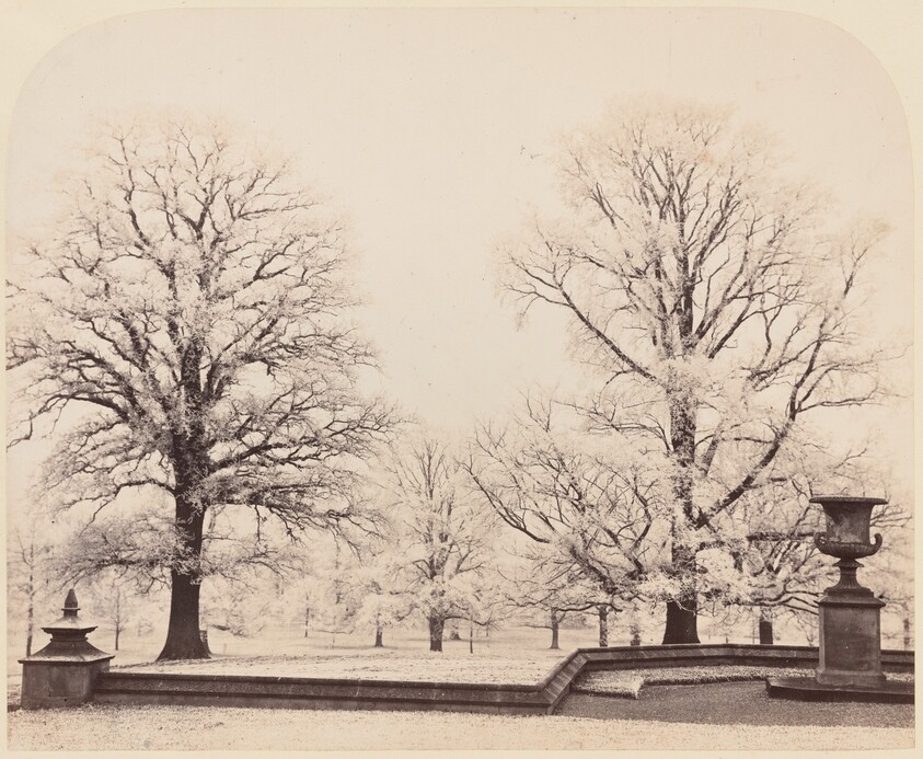 Hoarfrost, a Park Scene