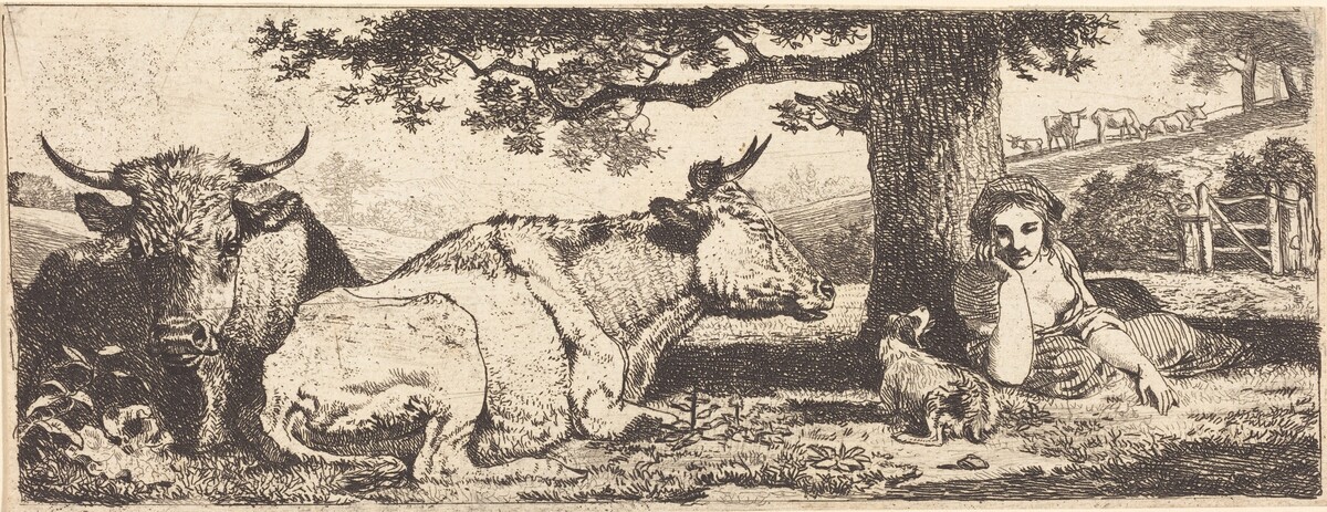 Two Cows and a Woman Lying Down