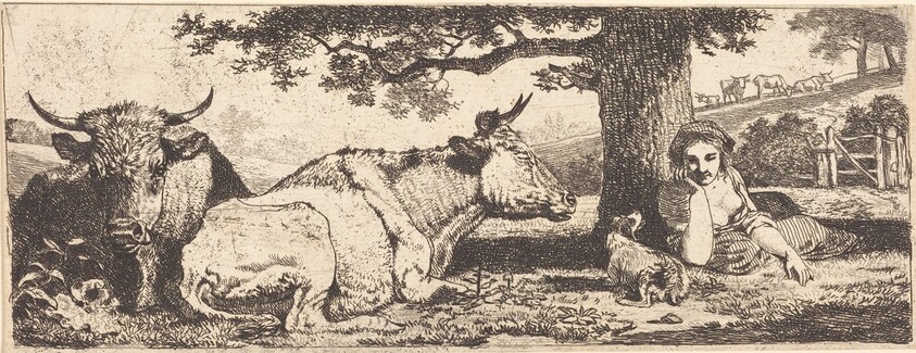 Two Cows and a Woman Lying Down