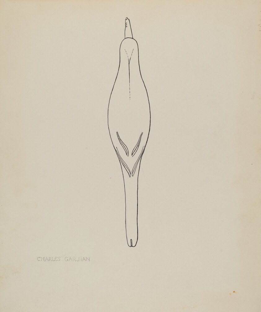 Decoy (Red-Wing Black Bird)