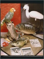Standard Still Life with Japanese Prints, Robert Fichter, 1982