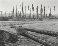Phoenix, 40th Street and South of Broadway, Looking Southwest, Allen Dutton, December 1998