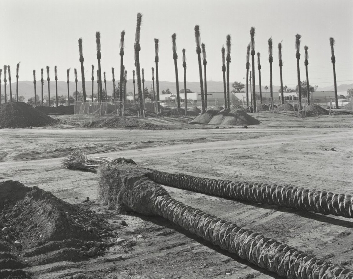 Phoenix, 40th Street and South of Broadway, Looking Southwest