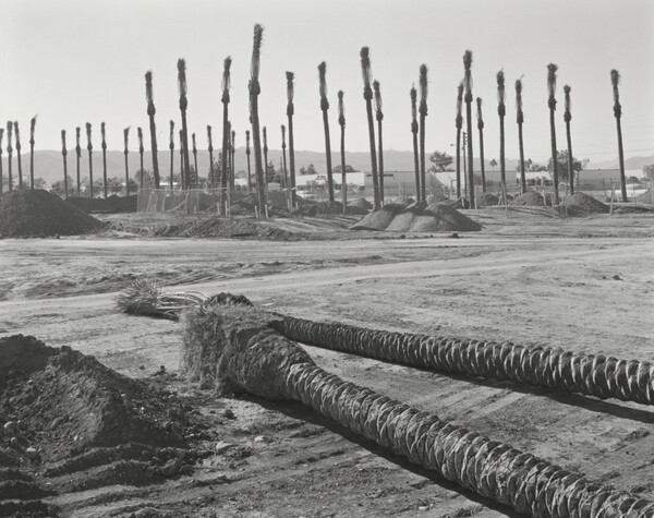Phoenix, 40th Street and South of Broadway, Looking Southwest