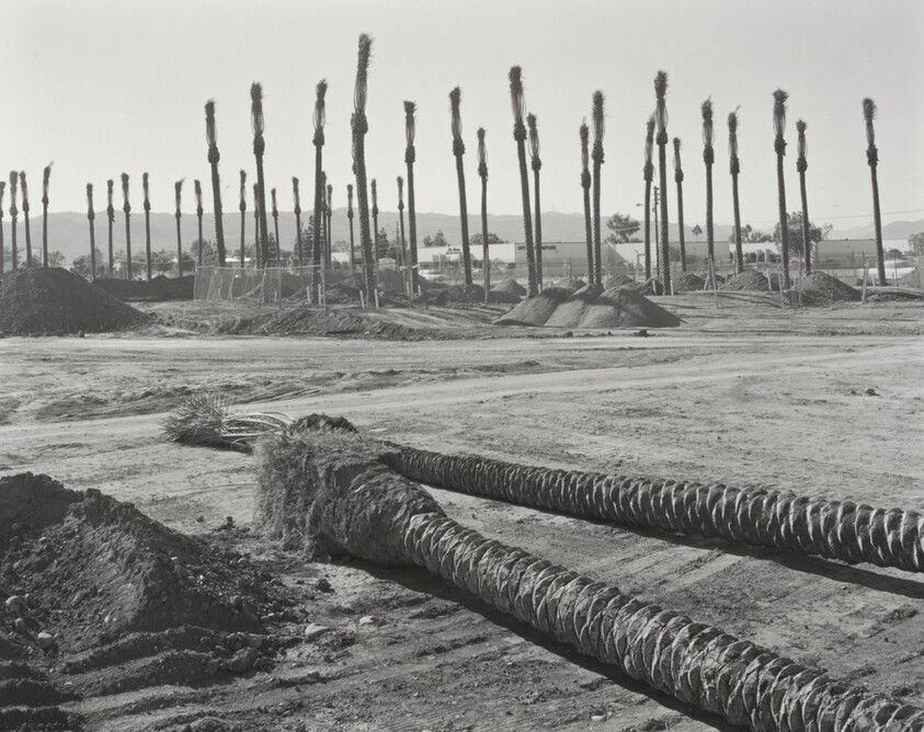 Phoenix, 40th Street and South of Broadway, Looking Southwest