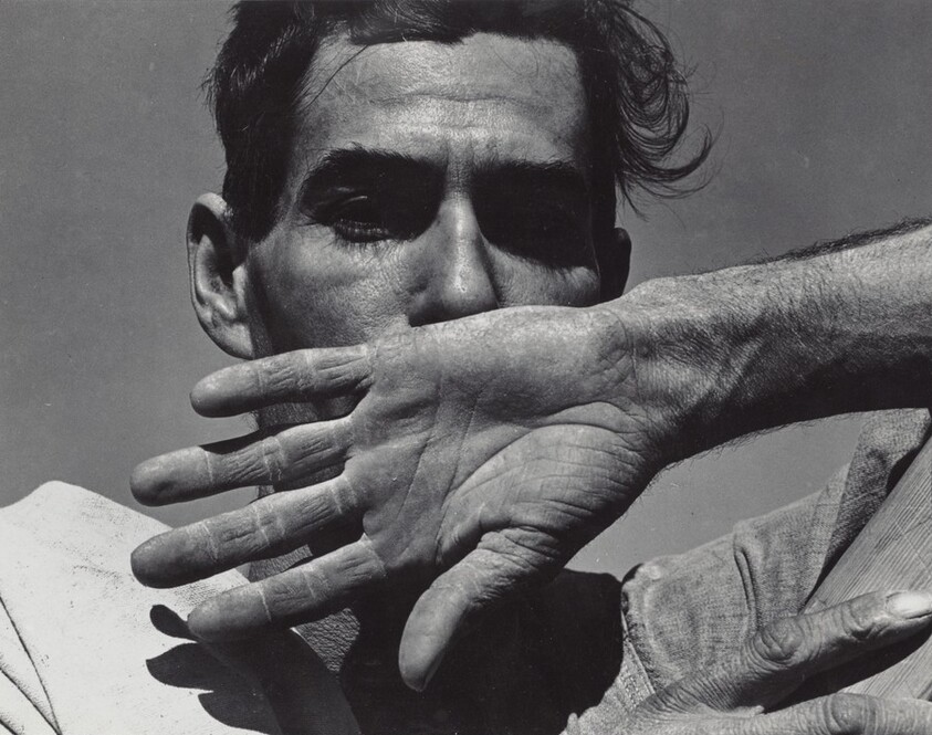 Migratory cotton picker, Eloy, Arizona
