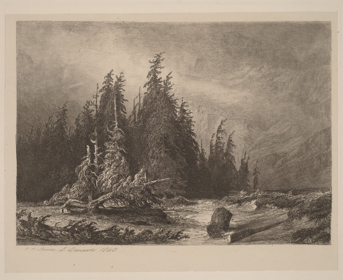 Mountain PInes