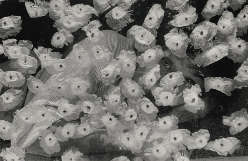 Tlalpan, Ciudad de México, México (Tlalpan, Mexico City, Mexico)