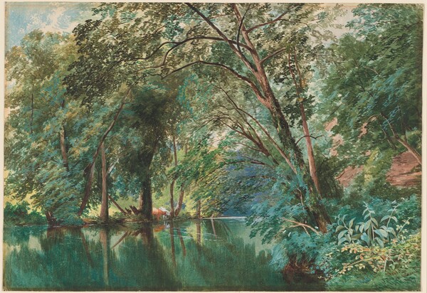 Trees over the River Frome at Stapleton