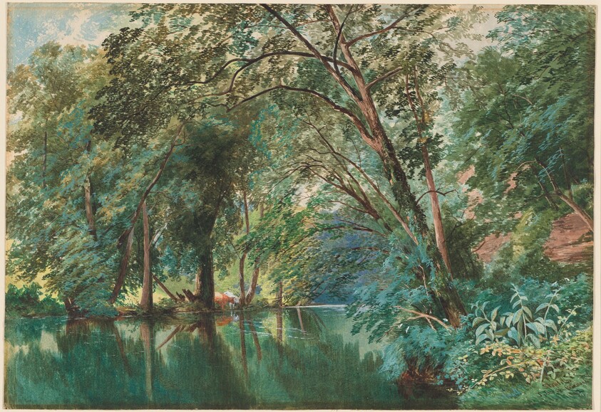 Trees over the River Frome at Stapleton