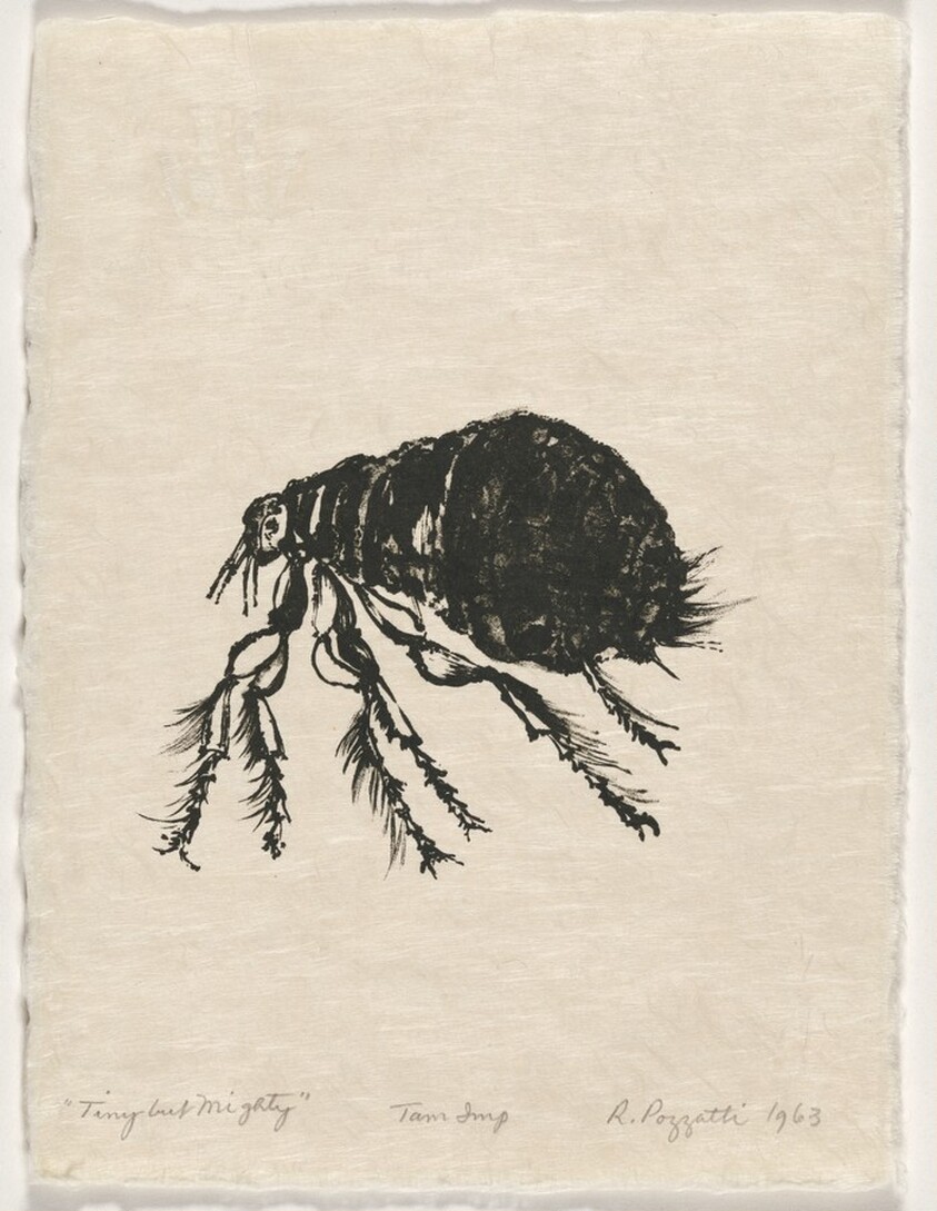 Tiny but Mighty from Bugs