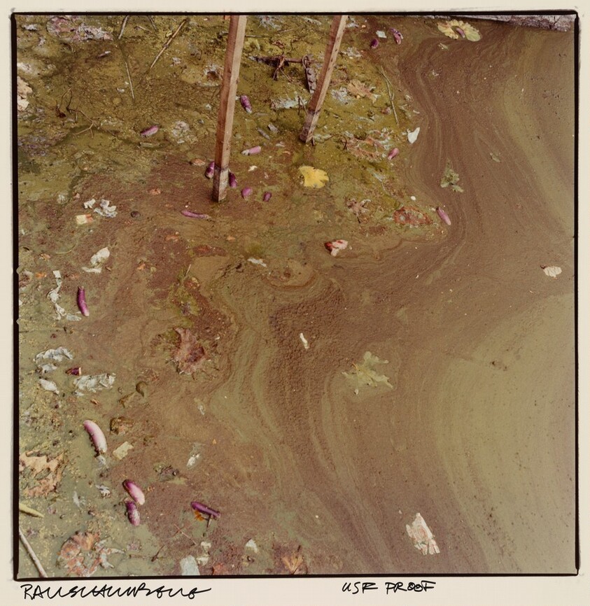 Study for Chinese Summerhall