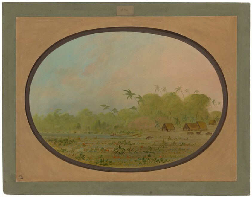 A Small Village of Remos Indians