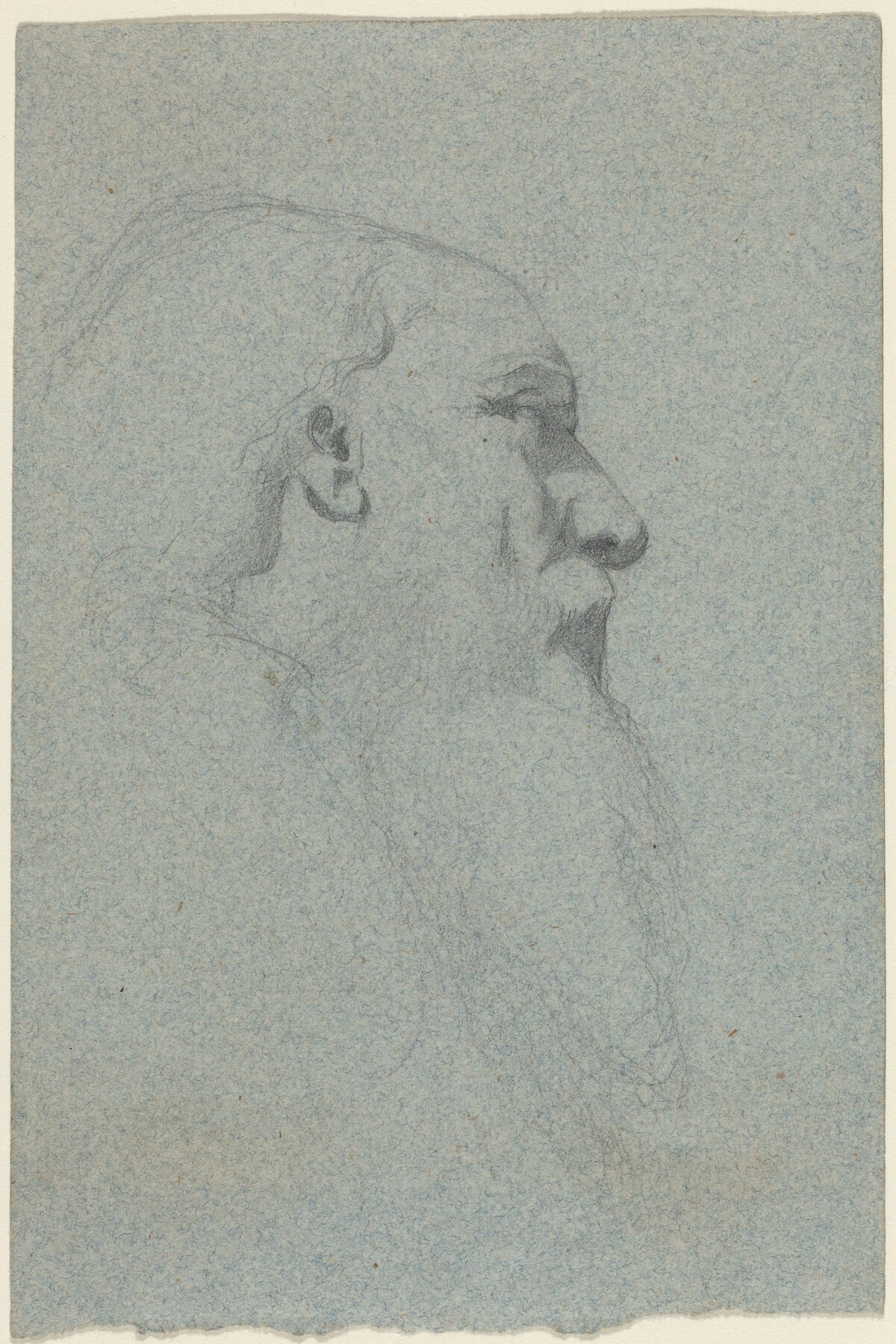 Head of a Bearded Man, Looking Right
