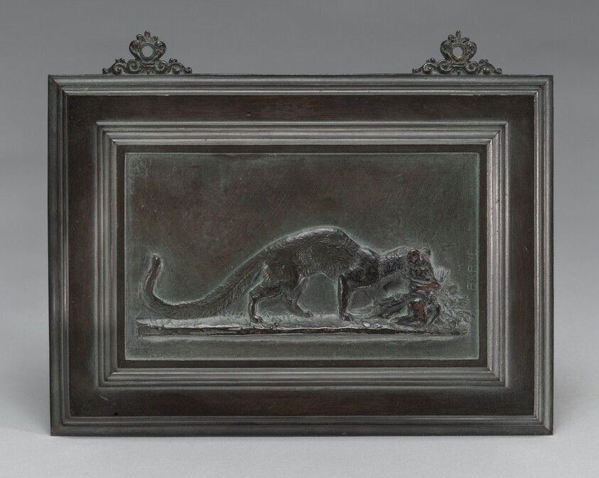 Genet Carrying off a Bird