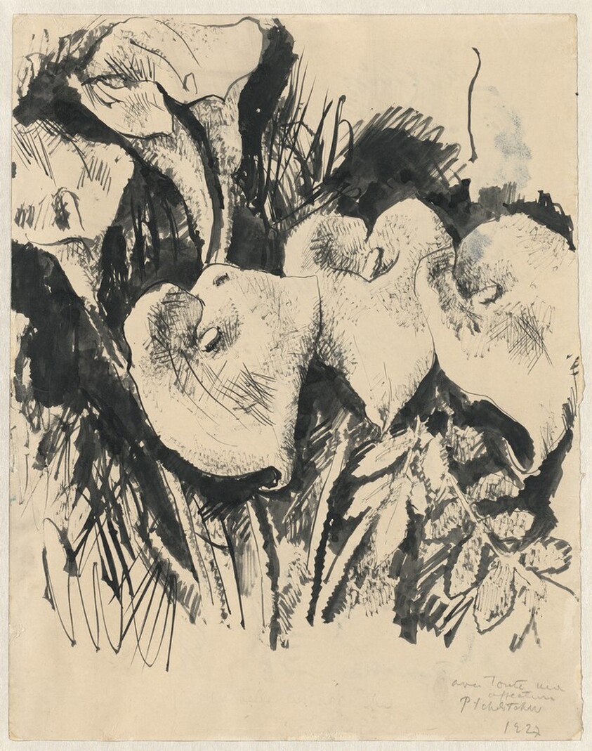 Calla Lilies (recto)