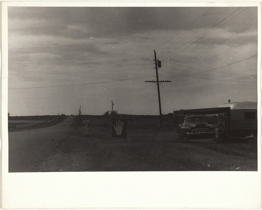 Palmist--Athens, Alabama