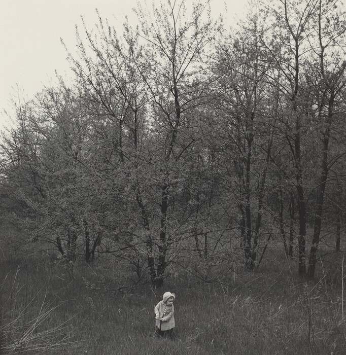 The image shows a ground-level view of a natural scene. Leafless trees obscure the horizon, creating a dense line against a pale sky. In the foreground, a child in winter clothing stands in tall grass. The image is in black and white, emphasizing the contrast between the dark trees and lighter surroundings.