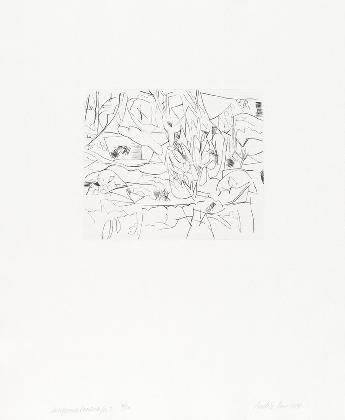 California Landscape 2, Ruth Fine, 1984