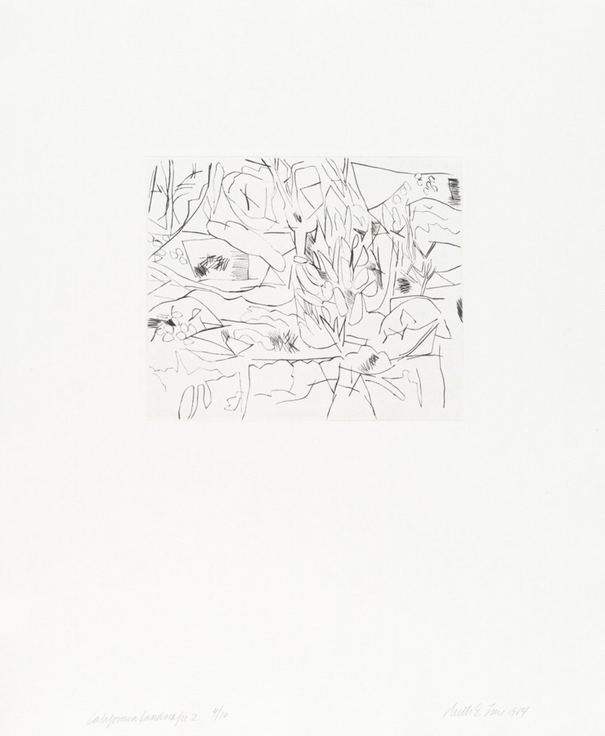 California Landscape 2, Ruth Fine, 1984