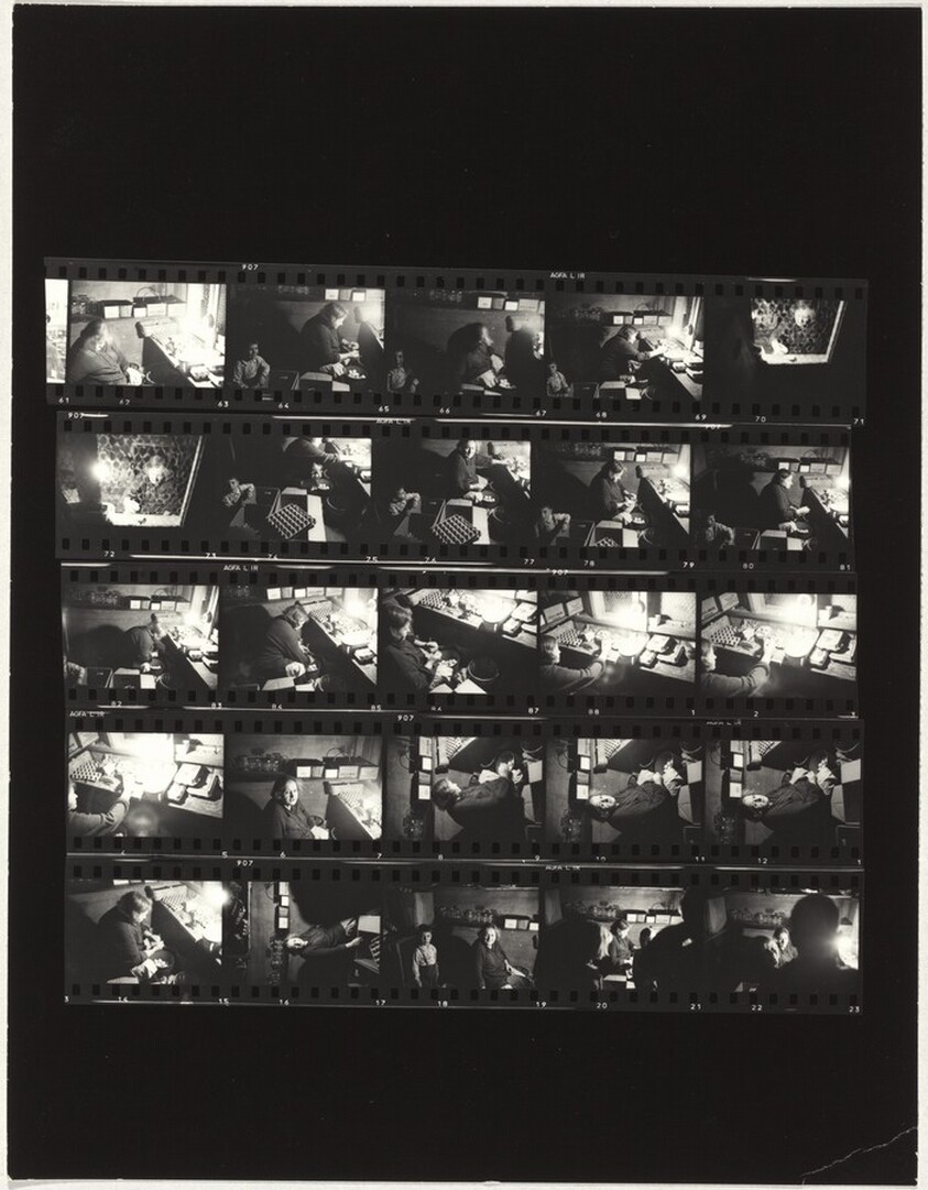 Segal farm no number