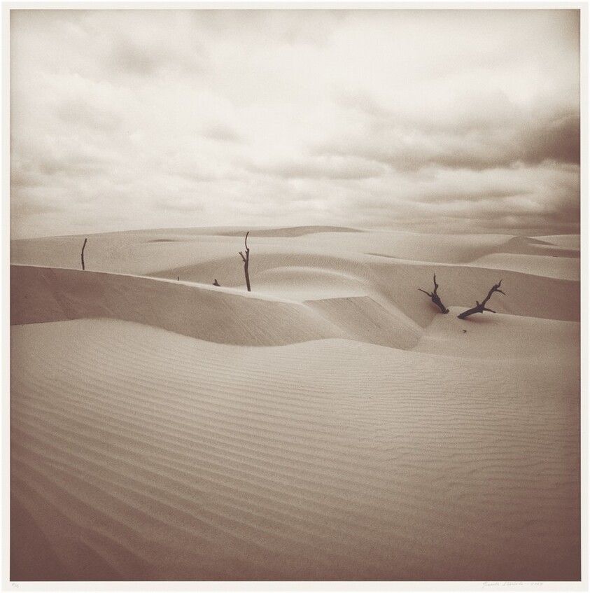 Rancho Santa Gertrudis, Sur de Texas (Santa Gertrudis Ranch, South Texas)