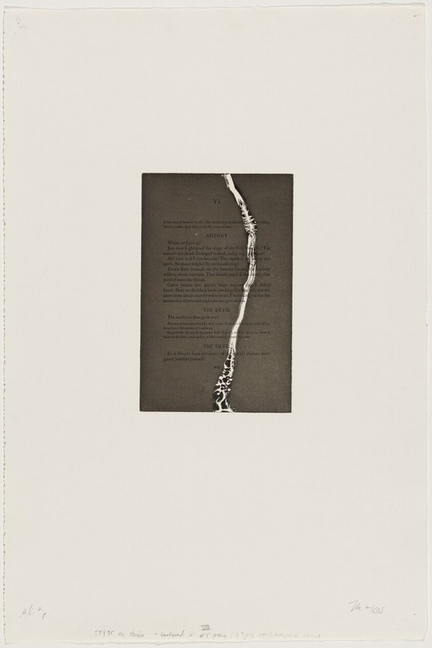 Plate VII from The Temptation of Saint Antony I-XIV