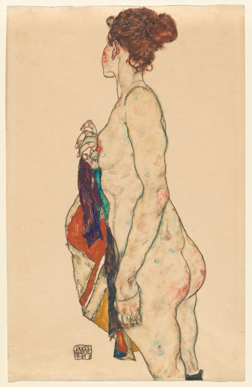 Standing Nude with a Patterned Robe