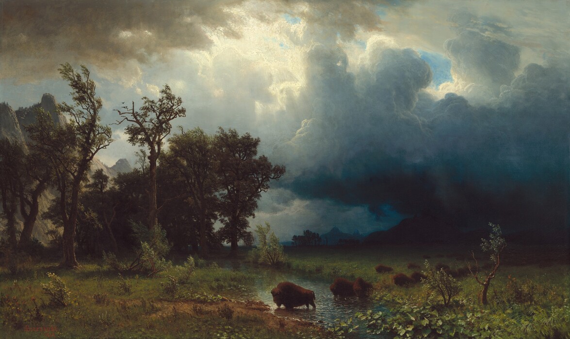 The top three-quarters of this horizontal landscape painting is filled with roiling, deeply shadowed clouds that tower over a line of buffalo crossing a grassy meadow below. Small in scale, the buffalo form a line that extends away from us at a diagonal into the distance to our right. Sunlight creates a bright reflection on the stream where the frontmost buffalo crosses, but the other animals are nearly backlit in the raking light. Trees, with branches whipping in the wind, rise along the left side of the painting, and the mountainous landscape to our right is lost in darkness under heavy clouds. The clouds above lighten from navy blue in the lower right corner of the sky to slate blue and white at the center of the painting. Small patches of blue sky are visible between a few breaks in the clouds, and sunlight falls on a cliff-like mountain face in the distance beyond the trees to our left. Another bank of parchment-colored clouds in the upper left corner, closer to us, contrasts with the glimmering light highlighting some of the clouds nearby.