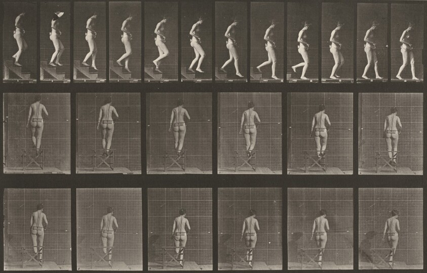 Plate Number 130. Descending stairs