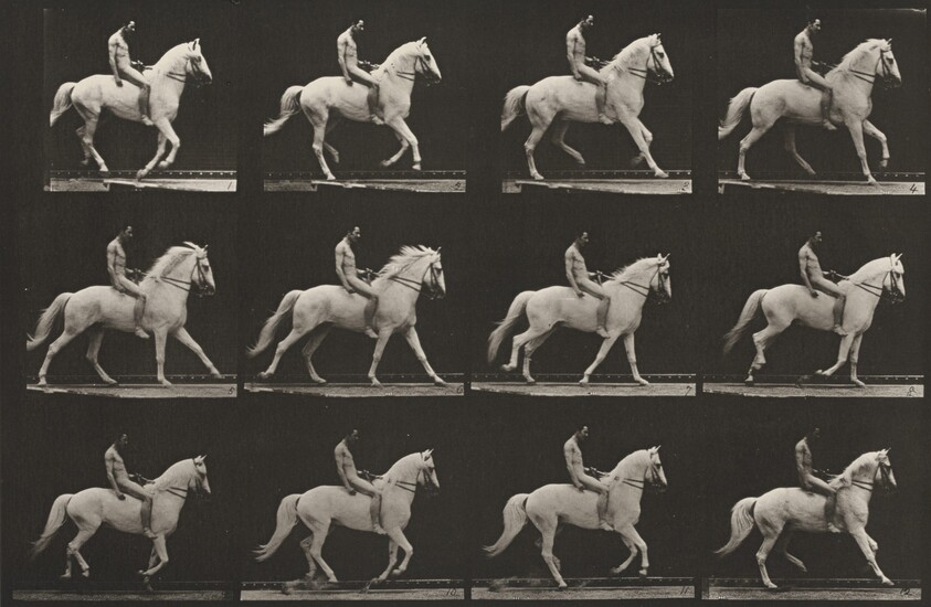 Plate Number 617. "Clinton" cantering, bareback; rider nude