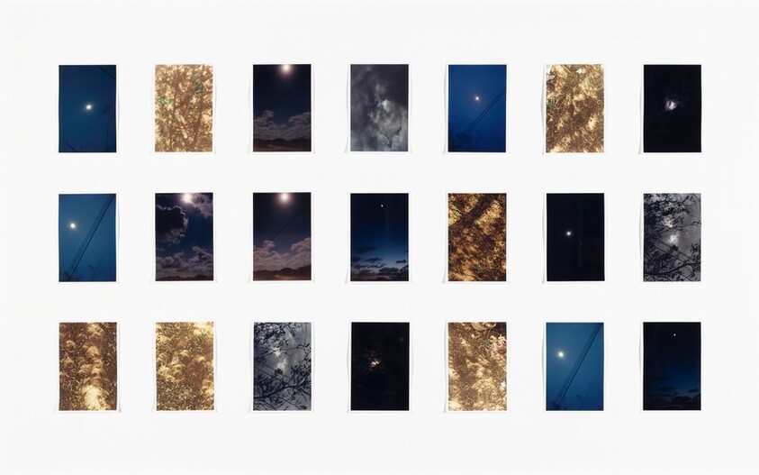 Total Solar Eclipse Grid