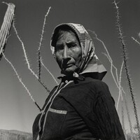 Desierto de Sonora, México (Sonoran Desert, Mexico), Graciela Iturbide, 1979