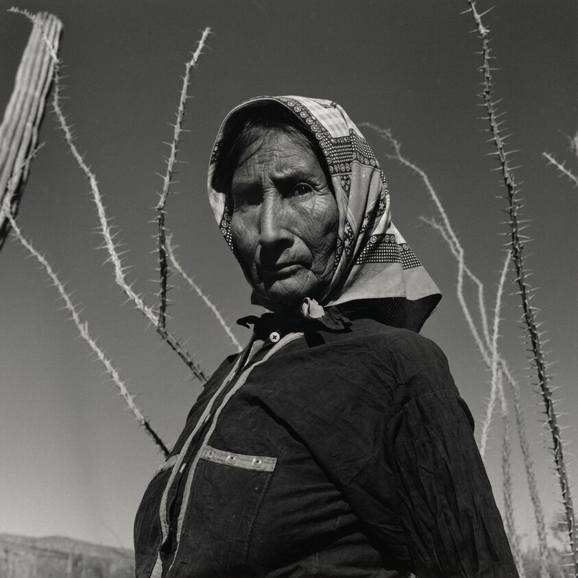 Desierto de Sonora, México (Sonoran Desert, Mexico)