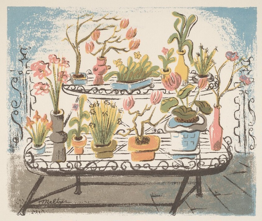 Untitled (Potted Plants)