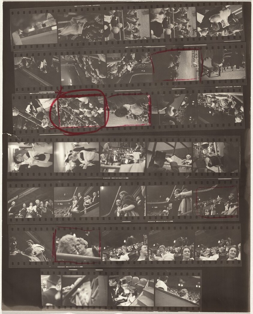 Horse show opening 5