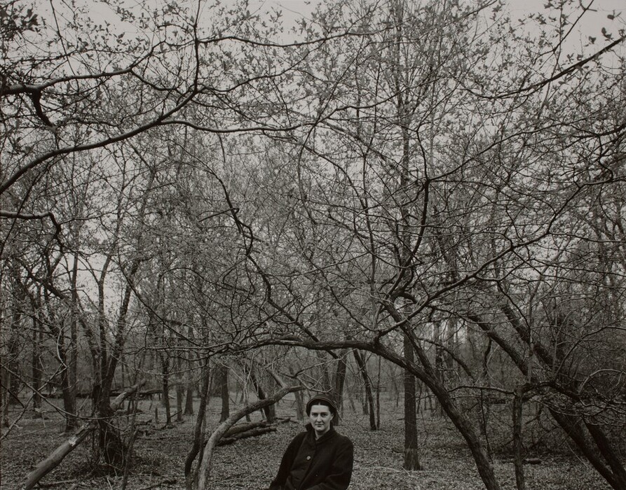 The image depicts the upper half of a person standing or sitting in a dense forest with leafless trees. The person has a neutral expression and dark hair covered by a hat, wearing a dark coat. The forest background has bare branches and fallen leaves, suggesting a late autumn or winter setting.