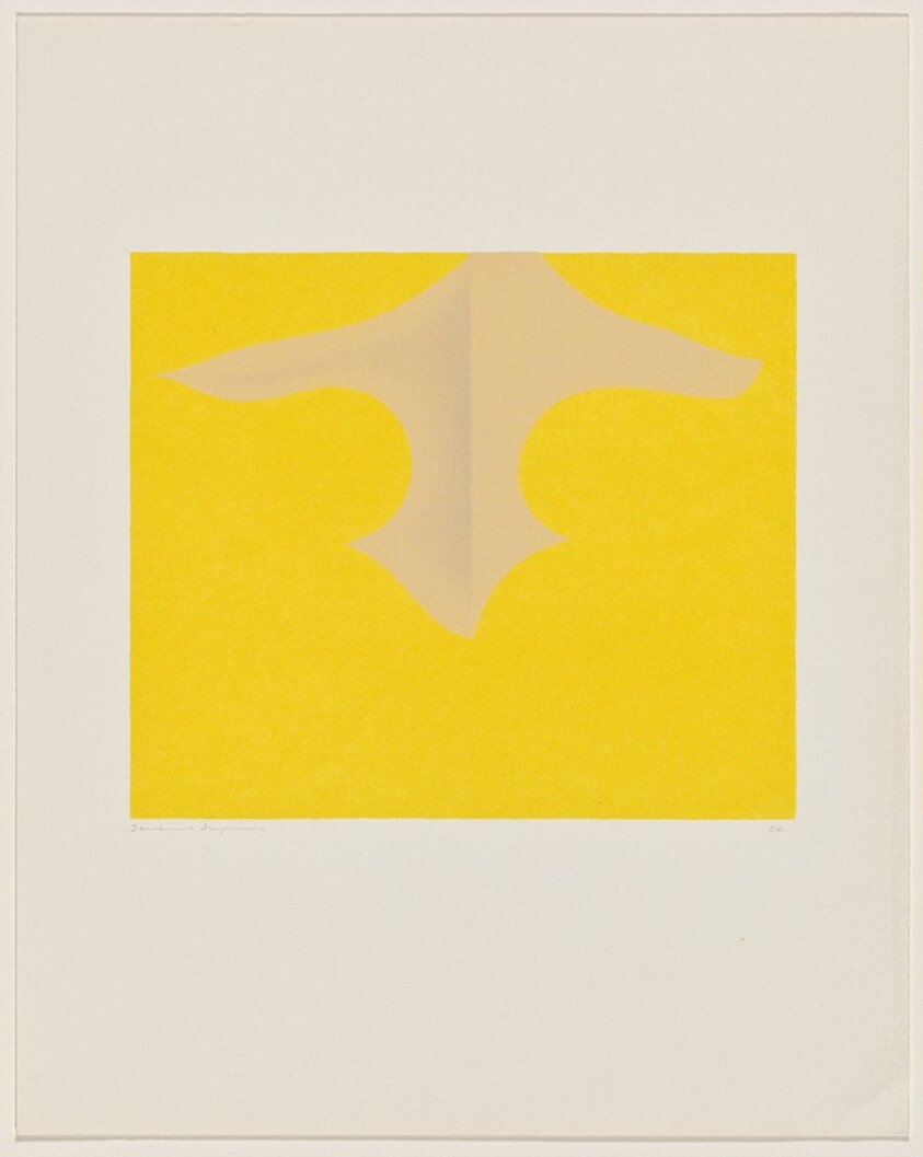 Venus in Cibola VIII