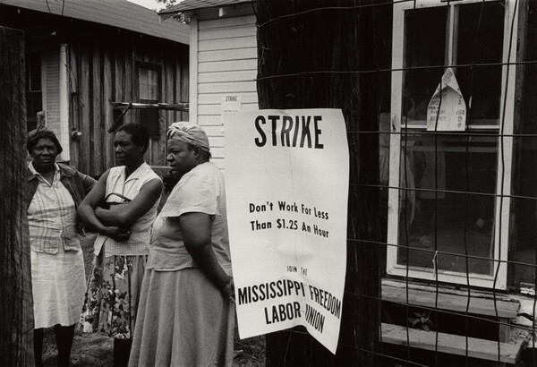 Shaw, Mississippi (off Highway 51)