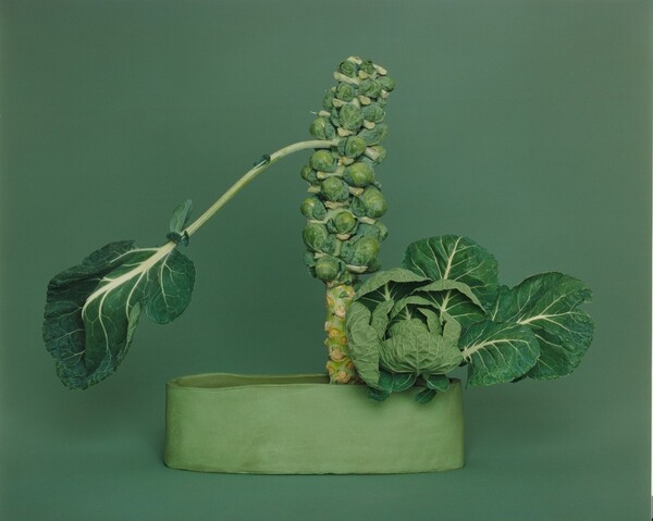 NÕ-no Ikebana, arranged by Haruko Takeichi, December 1, 2002 (December 2-3)