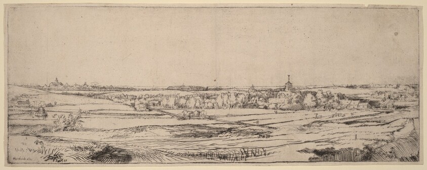 Landscape with a View toward Haarlem (The Goldweigher's Field)