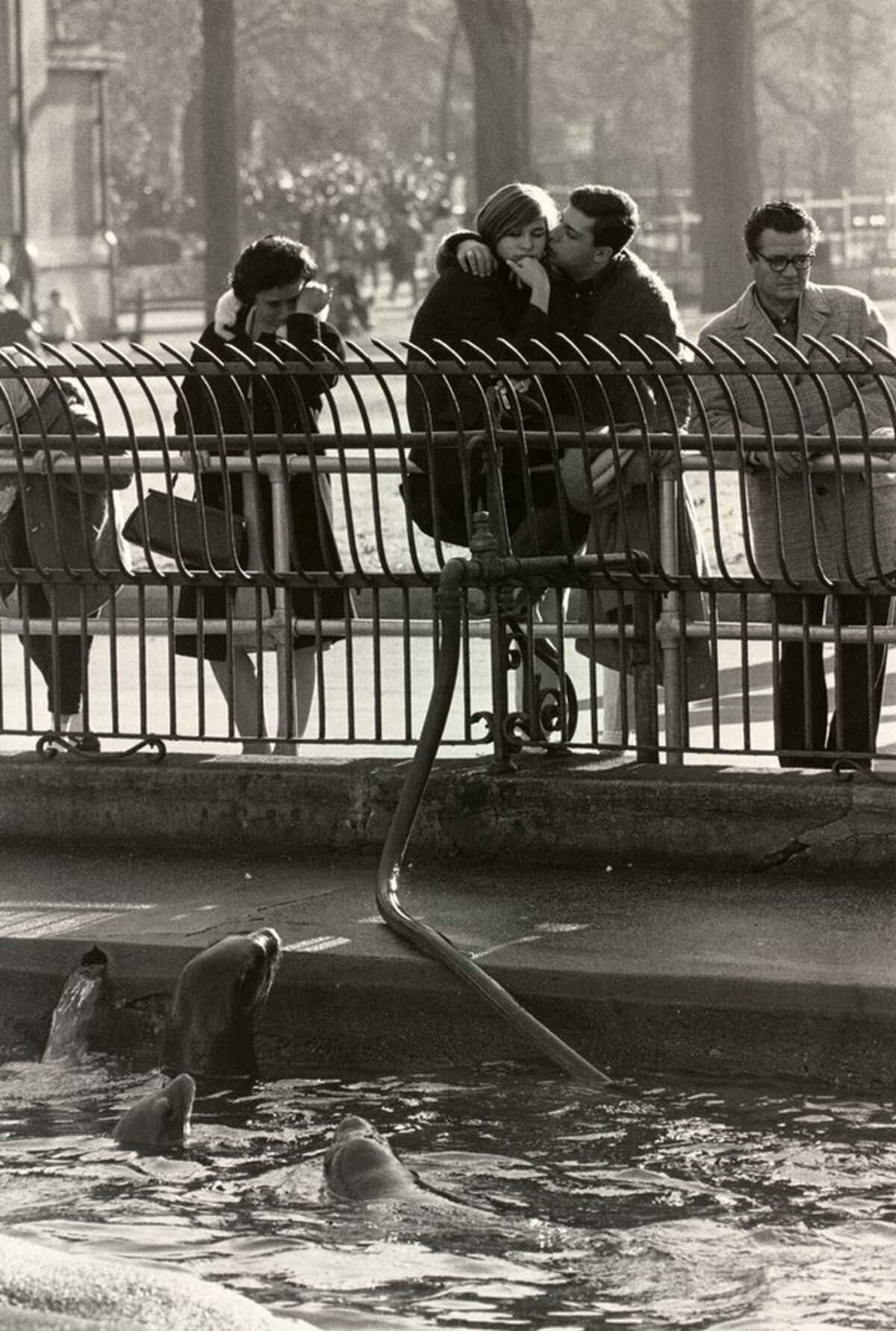 Central Park Zoo