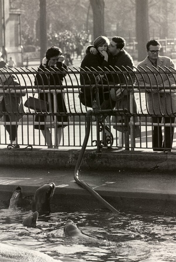 Central Park Zoo