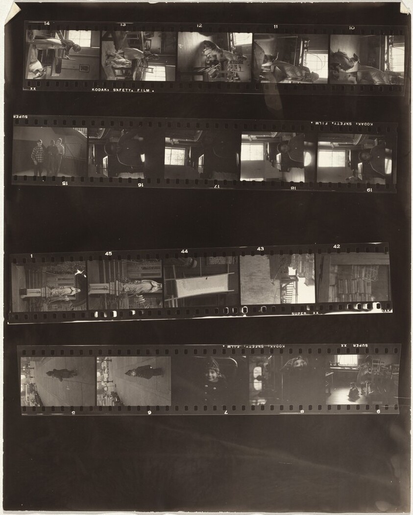 Blind girl--Times Square, New York City no number