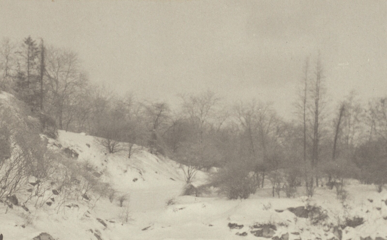 Impression, Winter, Alfred Stieglitz, 1894, printed 1895/1896